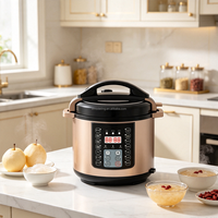 Cuisinière électrique à pression OEM 6L 1000W en acier inoxydable, multicuiseur 10-en-1, logo personnalisé, marque privée