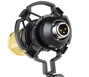 Nueva venta BM800 Bm800 Studio <span class=keywords><strong>Gooseneck</strong></span> juego de micrófono de condensador con tarjeta de sonido USB para grabación de estudio Broadcasting Bm-800 - Product Image 3