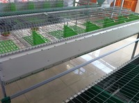 Équipement d'élevage de lapins automatique à 1 ou 2 niveaux pour lapins Rex