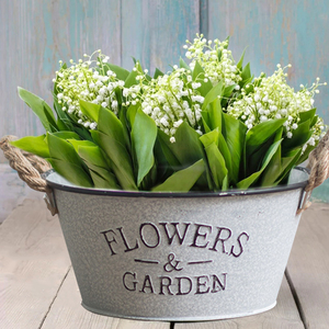 Vase en <span class=keywords><strong>fer</strong></span> <span class=keywords><strong>forgé</strong></span> rétro <span class=keywords><strong>ancien</strong></span> pour <span class=keywords><strong>salon</strong></span>, décoration <span class=keywords><strong>de</strong></span> <span class=keywords><strong>jardin</strong></span>, seau à fleurs, pot <span class=keywords><strong>de</strong></span> rangement <span class=keywords><strong>de</strong></span> bureau - Product Image 4