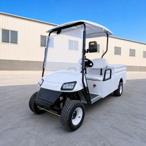 Voiturette de <span class=keywords><strong>golf</strong></span> électrique nouvelle conception, couleur personnalisée, <span class=keywords><strong>2</strong></span> places, transport spécial extérieur avec porte – Meilleures ventes - Product Image 4