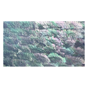 Fogli di Conchiglia Marina Naturale Madreperla all'Ingrosso con Opzioni di Colori e Spessore Multipli per Decorazione di Telefoni, Abiti e Borse - Product Image 5