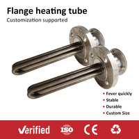 Elementos Calefactores de Inmersión de Resistencia Eléctrica de 300w 12v 24v 48v DC, Calentador Tubular de Agua