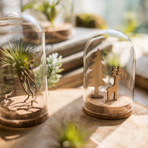 Caja de acrílico elegante hecha a mano/cúpula de cristal Real <span class=keywords><strong>Fresh</strong></span> <span class=keywords><strong>Eternity</strong></span> Immortal Rose flor preservada para la graduación de Navidad de San Valentín - Product Image 6