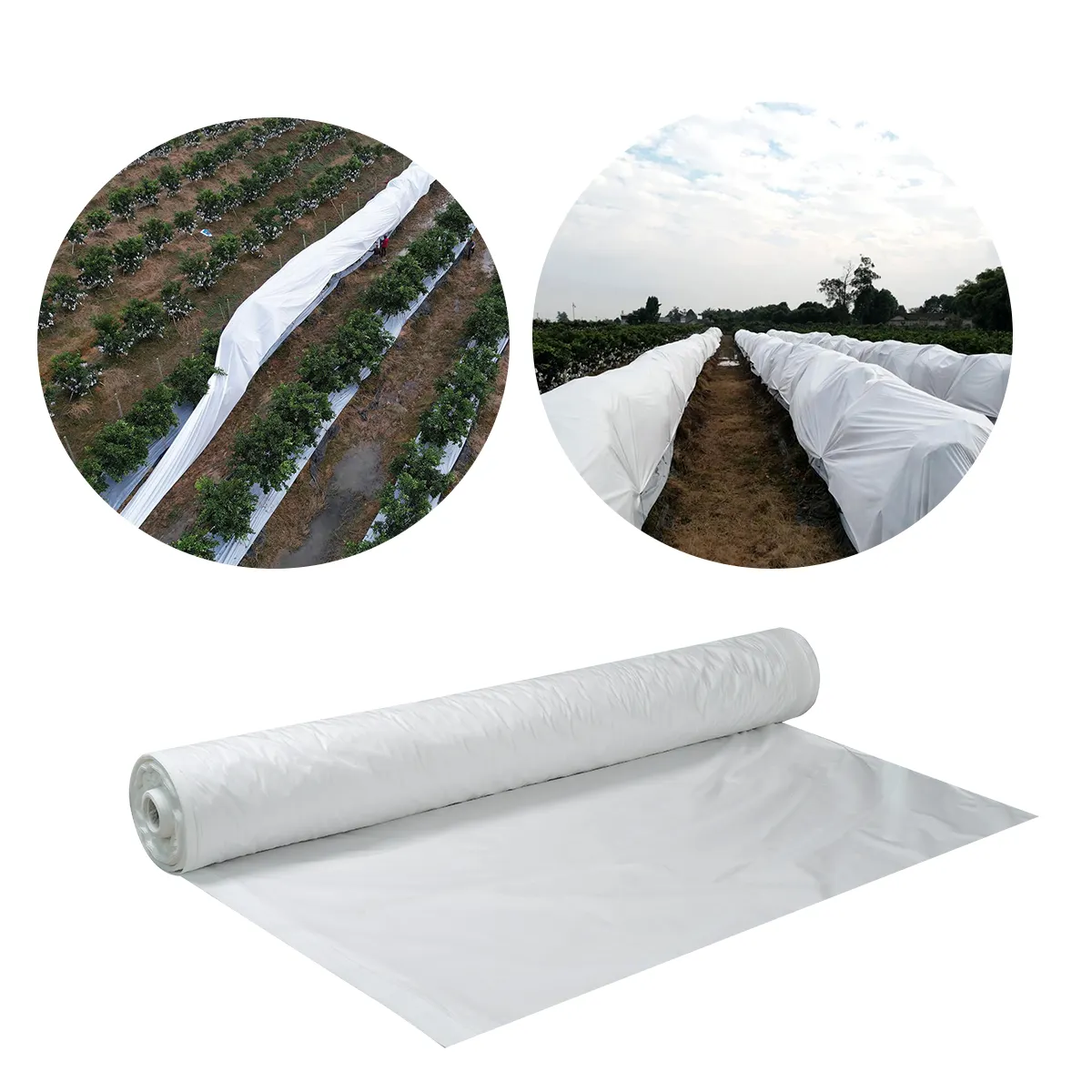 Free Sample Testing Manufacturer Price Photosynthesizing Anti frost Greenhouse Agricultural Plastic Film for Vegetable