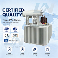 Transformateur immergé dans l'huile, entièrement scellé, à trois enroulements, monté sur poteau, S11-M 100 kVA, triphasé, 33 kV, 415 V, 100 % cuivre, anticorrosion