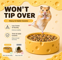 Maison de hamster réutilisable écologique en forme de rectangle en céramique refroidissant les fournitures de décoration de dissipation de chaleur d'été