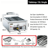 Freidora Industrial Multifuncional de Acero Inoxidable de Alta Calidad con Certificación CE, de Gas Natural, 1600W+, para Pollo y Papas Fritas