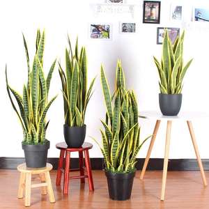 ต้นไม้ประดิษฐ์ ต้นกล้วยปลอม ต้นปาล์มปลอม ขนาด 4 ฟุต 5 ฟุต 6 ฟุต สำหรับตกแต่งภายในและภายนอกอาคาร เหมาะสำหรับการเดินทาง - Product Image 5