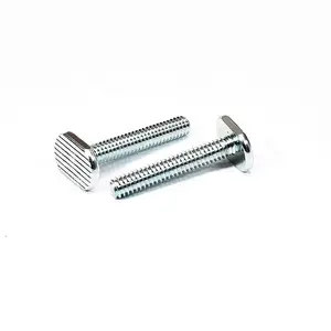 China Fastener Manufacturer Made T-Slot Bolts 1/4 T-Bolts