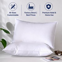 Coussin d'hôtel en tissu brossé blanc, literie hôtelière pour gîtes et appartements, vente en gros d'usine, fournisseur direct OEM personnalisé