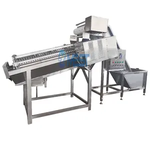 Tôm vỏ lột Máy tôm tươi da Peeler separator Máy đông lạnh Khô Tôm pháo Kích máy