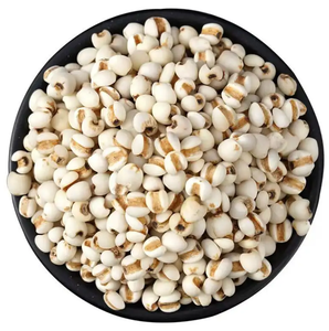 <span class=keywords><strong>Grano</strong></span> <span class=keywords><strong>de</strong></span> <span class=keywords><strong>cebada</strong></span> personalizado, <span class=keywords><strong>grano</strong></span> <span class=keywords><strong>de</strong></span> malta <span class=keywords><strong>de</strong></span> <span class=keywords><strong>cebada</strong></span>, <span class=keywords><strong>grano</strong></span> <span class=keywords><strong>de</strong></span> <span class=keywords><strong>cebada</strong></span> descascarada a <span class=keywords><strong>precio</strong></span> competitivo - Product Image 1