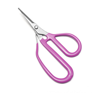Jolies cisailles de jardinage en acier inoxydable violettes 2,5 mm pour le jardinage et la fleuristerie - Product Image 1