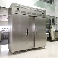 Machine de surgélation rapide de type tunnel, directement de l'usine, machine de surgélation IQF pour volailles et aliments préparés