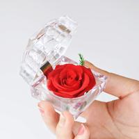 Roses éternelles équatoriales Fleurs et plantes décoratives dans une boîte à anneaux Prix de gros