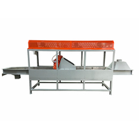 Machine à fabriquer des granulés en plastique EVA SHISHI XINSU en acier inoxydable 55KW 450-550kg/h avec moteur