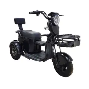 Putian Cheap Outdoor 60V Factory Transshipment Electric Transport Trolley Recreational Tricycle For Women Use