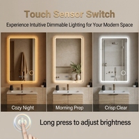 Miroir de salle de bain LED asymétrique en forme de D, intelligent, anti-buée, à commande tactile, mural, pour projets hôteliers, OEM personnalisé