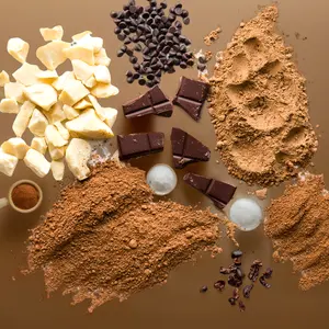 Hot Sale Dutch White Cocoa Powder For Biscuit And Confectionery Production High Quality Cocoa Ingredients