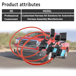 汽车线束样式1007电线20AWG 20厘米长度3A直列保险丝座或定制保险丝座中国线束 - Product Image 2