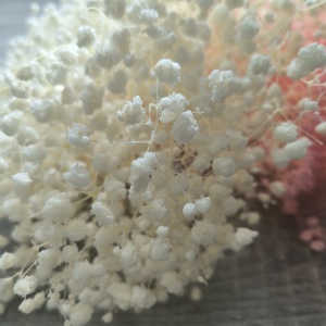 <span class=keywords><strong>ดอก</strong></span>ยิปโซฟิลลาเกรด AA คุณภาพส่งออกจากโรงงาน แบบช่อใหญ่ สี Stardust ฟอกขาว สำหรับจัดดอกไม้ - Product Image 4