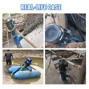 75jlb Vertical Auger Fecal <b>Pump</b> Sewage <b>Pump</b> Breeding Farm Septic Tank Unobstructed Sewage <b>Pump</b> - Product Image 5