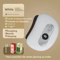 Vente chaude pierre olcanique électrique Gua Sha outil de grattage Machines Spa thérapie dispositifs de grattage