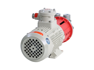 ปั๊มแม่เหล็กขับเคลื่อนแบบ Aulank Forward and Reserve พร้อมการจัดวางเพลาหลายรูปแบบ - Product Image 4