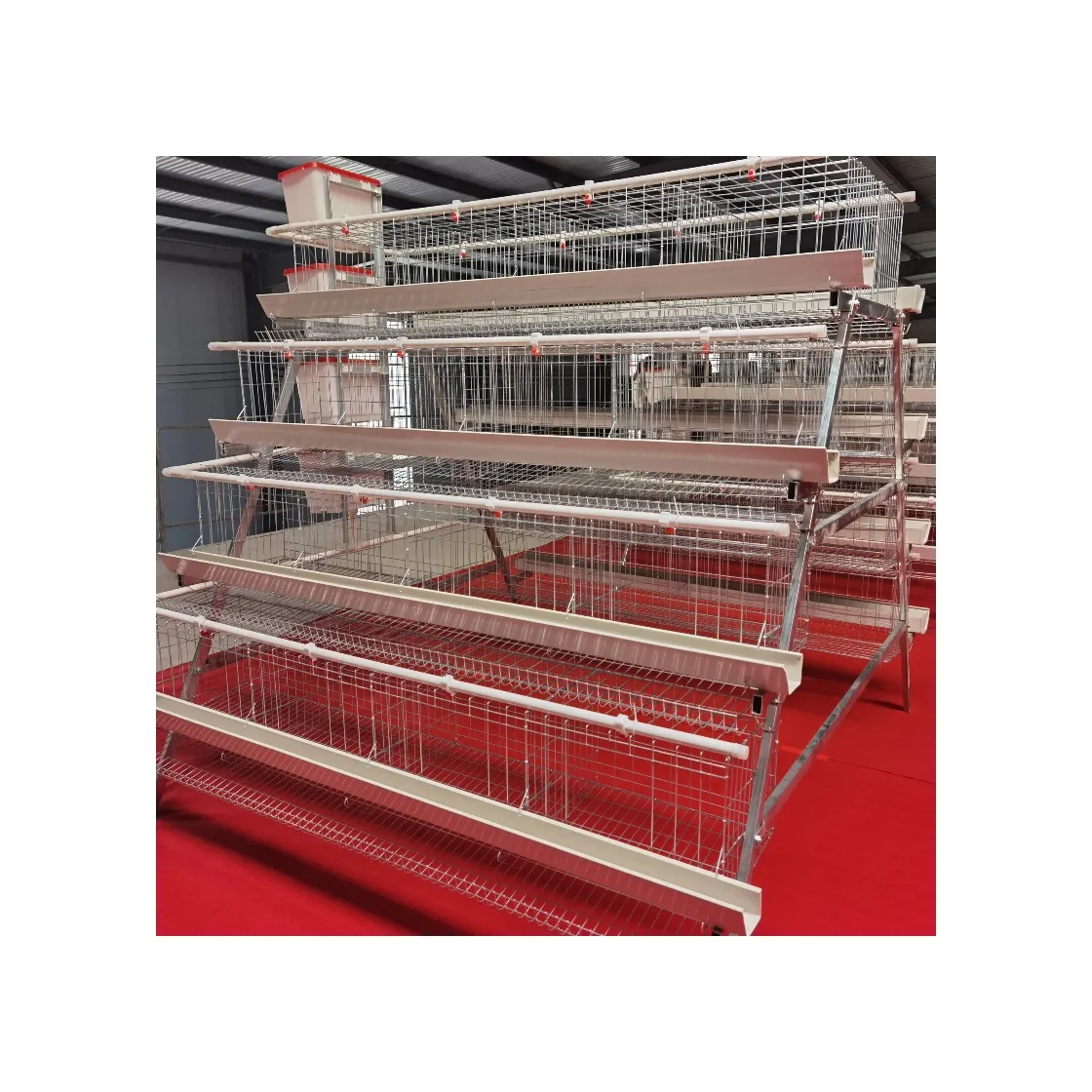 Innovative Automatic Chicken Feeder System For Poultry Farming With Comprehensive Feed Management And Automation