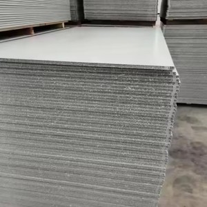 Panneaux <span class=keywords><strong>de</strong></span> <span class=keywords><strong>coffrage</strong></span> durables <span class=keywords><strong>de</strong></span> 18 mm d'épaisseur pour travaux <span class=keywords><strong>de</strong></span> coulage <span class=keywords><strong>de</strong></span> béton, panneau <span class=keywords><strong>de</strong></span> <span class=keywords><strong>coffrage</strong></span> <span class=keywords><strong>en</strong></span> béton pp <span class=keywords><strong>de</strong></span> 18 mm - Product Image 5