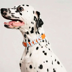 Premium-Qualität Hundezubehör-Hersteller DIY-Buchstaben Verstellbare Wasserdichte Personalisierte Design-Silikon-Hundehalsbänder - Product Image 2