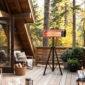 <b>Portable</b> Gas Patio <b>Heater</b> with Dome Shape and Steel Construction Modern Bar Style for Outdoor Use - Product Image 1