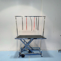Table de toilettage électrique pliable pour animaux de compagnie, simple, pour la tonte des chiens, directement de l'usine