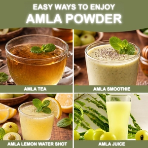 Poudre de jus d'<span class=keywords><strong>Alma</strong></span> et poudre d'extrait d'<span class=keywords><strong>Alma</strong></span> en gros de bonne qualité - Product Image 4