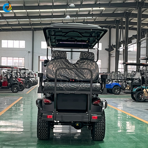 Carritos de Golf Eléctricos Robetaa Populares de 6 Plazas, Legales para Circular en la Calle, Todoterreno, para Turismo, con Batería de Litio de 72V, para Caza, para Adultos - Product Image 5