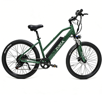 Vélo de montagne électrique sans balais personnalisable en alliage d'aluminium de 26 pouces, moyeu arrière 250W, batterie au lithium 36V 7.8Ah, 7 vitesses, tout-terrain