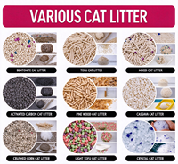 Bac à litière pour chat portable à ouverture supérieure, pour chatons, avec système de collecte des déchets, entrée basse, anti-éclaboussures, plateau en plastique avec pelle à litière, OEM