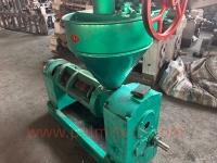 Petite Presse Automatique à Huile de Palmiste, Extracteur d'Huile d'Arachide et d'Amande, Pressage à Froid et à Chaud, Capacité 330 kg/h, Économe en Énergie, Henan