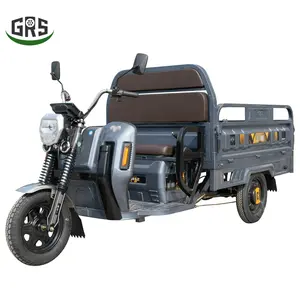 Motorcycle Pick up Goods Electric Rickshaw Adult Passenger Tricycle China Factory Three Wheel GRS 1000W Motor 60V Cargo Closed