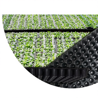 Barquettes à semis transparentes réutilisables ultra-flexibles à 104 cellules avec trous de drainage, en plastique agricole robuste et écologique