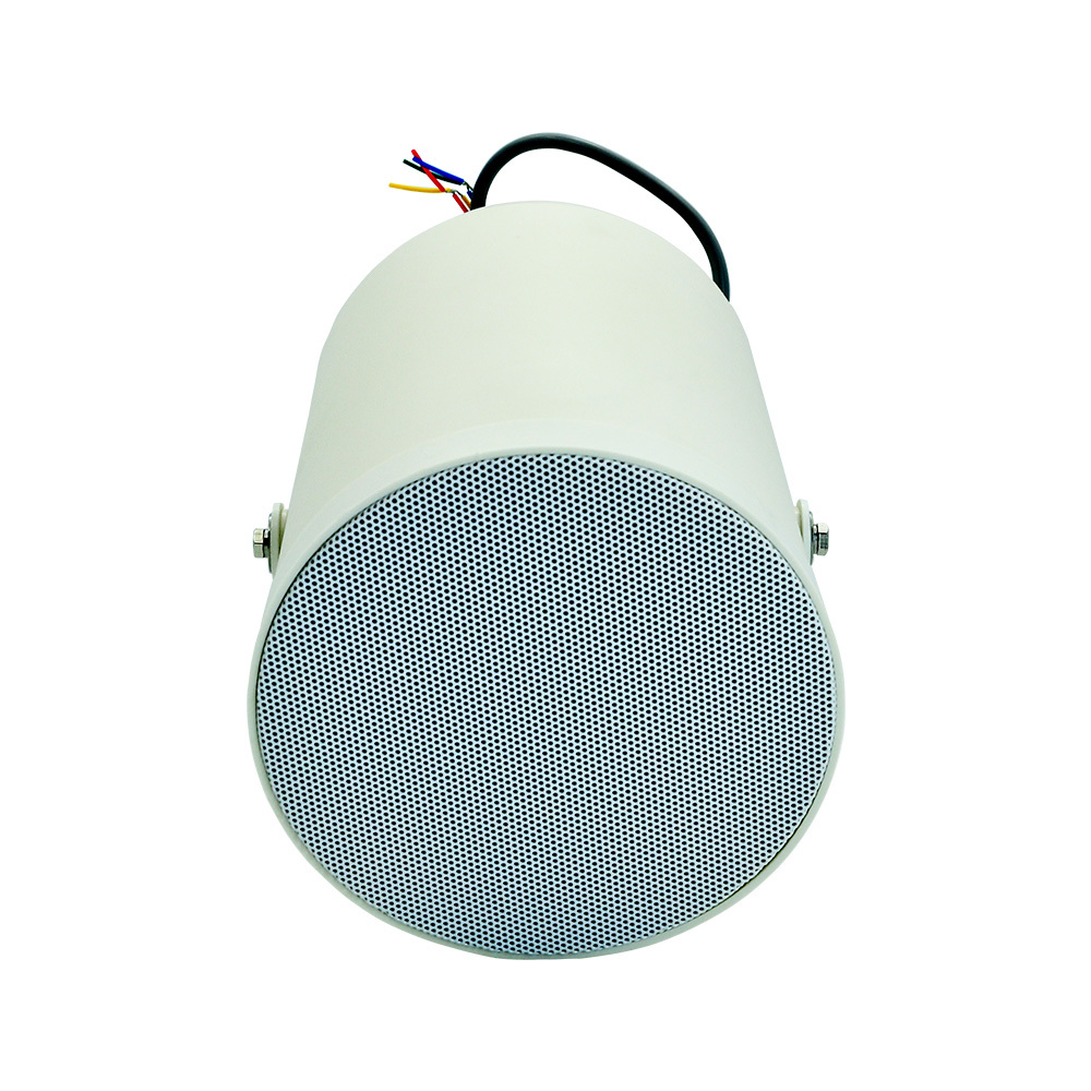 DS20 5W/10W/20W Wall Mount Projection Speaker Outdoor Weatherproof Waterproof PA Projector Wall Mount Speaker · image 3
