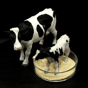 Extrait <span class=keywords><strong>de</strong></span> <span class=keywords><strong>levure</strong></span> <span class=keywords><strong>de</strong></span> bière <span class=keywords><strong>levure</strong></span> <span class=keywords><strong>de</strong></span> bière - Product Image 4