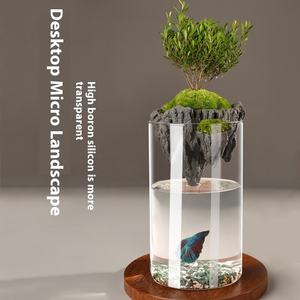 उच्च ग्रेड पारदर्शी ग्लास <span class=keywords><strong>vase</strong></span> सूक्ष्म परिदृश्य पारिस्थितिक हाइड्रोपोनिक बोतल शादी के लिए सरल प्राचीन डिजाइन - Product Image 4