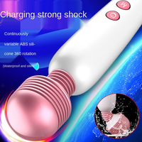 Vibromasseur féminin à fréquence variable, bâton de massage AV, œuf vibrant Dolphin, vibromasseur en forme de rouge à lèvres pour masturbation