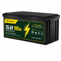 Batterie LiFePO4 25,6 V 100 Ah 2560 Wh, batterie lithium 24 V à décharge profonde pour camping-car, énergie solaire hors réseau, stockage d'énergie