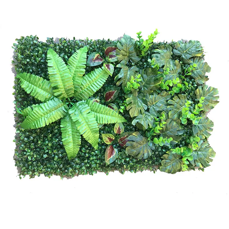 Natural Plant Wall Art Real Plants With Exotic Ferns-Green Decor To Bring Nature Into Your Home And Work Space-Office Plants