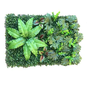 Piante naturali arte della parete vere piante con felci esotiche-decorazioni verdi per portare la natura nella tua casa e nello spazio di lavoro-piante da ufficio - Product Image 1