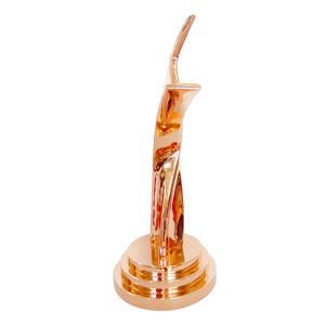 Trofeo Vintage Personalizado, Estrella de Oro Rosa, Premio de Entretenimiento de Media TV, Artesanía de Metal Pulido, Regalos de Recuerdo de Negocios, Premio - Product Image 6