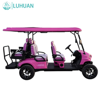 Nouvelle voiturette de golf électrique de luxe 6 places, fabrication directe d'usine, buggy de golf personnalisé pour hôtel, complexe hôtelier, parcours de golf, communauté